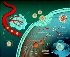 Graphical abstract: Supramolecular-mediated dual-functional DNA nanocomposites for programmable cancer therapy