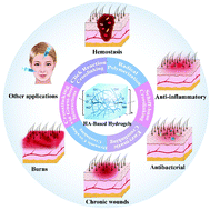 Graphical abstract: Advances in modified hyaluronic acid-based hydrogels for skin wound healing
