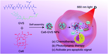 Graphical abstract: A nanomedicine enables synergistic chemo/photodynamic therapy for pancreatic cancer treatment