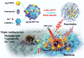 Graphical abstract: An Ag2S@ZIF-Van nanosystem for NIR-II imaging of bacterial-induced inflammation and treatment of wound bacterial infection
