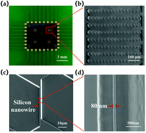 Graphical abstract: A highly sensitive silicon nanowire array sensor for joint detection of tumor markers CEA and AFP