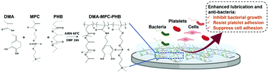 Graphical abstract: A universal biocompatible coating for enhanced lubrication and bacterial inhibition