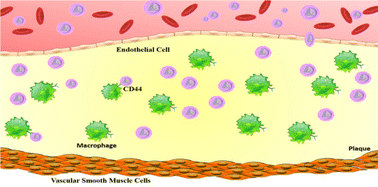 Graphical abstract: pH-Responsive hyaluronic acid-enveloped ZIF-8 nanoparticles for anti-atherosclerosis therapy