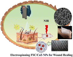 Graphical abstract: A fish-scale derived multifunctional nanofiber membrane for infected wound healing