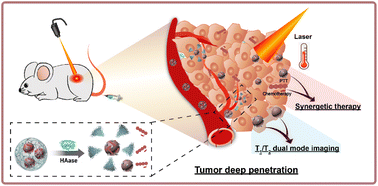 Graphical abstract: Tumor-penetrating iron oxide nanoclusters for T1/T2 dual mode MR imaging-guided combination therapy