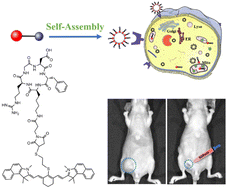 Graphical abstract: A novel active mitochondrion-selective fluorescent probe for the NIR fluorescence imaging and targeted photodynamic therapy of gastric cancer