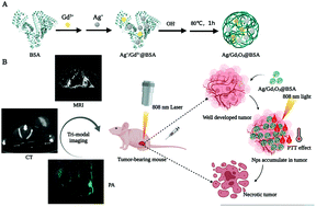 Graphical abstract: BSA-templated ultrasmall Ag/Gd2O3 as a self-enabled nanotheranostic for MR/CT/PA tri-modality imaging and photothermal therapy