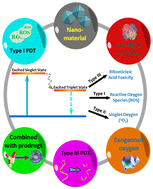 Graphical abstract: A chemical biology toolbox to overcome the hypoxic tumor microenvironment for photodynamic therapy: a review