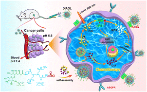 Graphical abstract: A multifunctional theranostics nanosystem featuring self-assembly of alcohol-abuse drug and photosensitizers for synergistic cancer therapy
