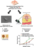 Graphical abstract: Local epidermal growth factor delivery using nanopillared chitosan–gelatin films for melanogenesis and wound healing