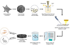 Graphical abstract: Marine plankton exoskeletone-derived hydroxyapatite/polycaprolactone composite 3D scaffold for bone tissue engineering