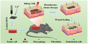 Graphical abstract: 3D printed heterogeneous hybrid hydrogel scaffolds for sequential tumor photothermal-chemotherapy and wound healing