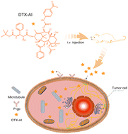 Graphical abstract: A novel docetaxel derivative exhibiting potent anti-tumor activity and high safety in preclinical animal models