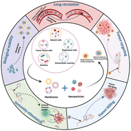 Graphical abstract: Recent advances in biological membrane-based nanomaterials for cancer therapy