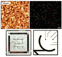 Graphical abstract: Neuronal and glial cell co-culture organization and impedance spectroscopy on nanocolumnar TiN films for lab-on-a-chip devices