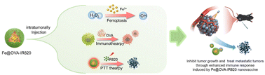 Graphical abstract: Boosting cancer immunotherapy by biomineralized nanovaccine with ferroptosis-inducing and photothermal properties