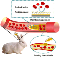 Graphical abstract: An anticoagulant/hemostatic indwelling needle for oral glucose tolerance test