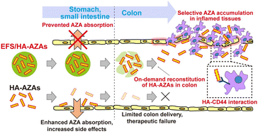 Graphical abstract: On-demand reconstitutable hyaluronic acid-doped azathioprine microcrystals effectively ameliorate ulcerative colitis via selective accumulation in inflamed tissues