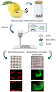 Graphical abstract: Development of a hydrocolloid bio-ink for 3D bioprinting