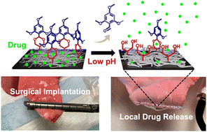 Graphical abstract: pH-Responsive nanofiber buttresses as local drug delivery devices