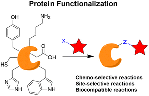 Graphical abstract: Chemical modification of proteins – challenges and trends at the start of the 2020s