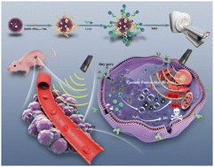 Graphical abstract: Ultrasound-enhanced cascade chemodynamic tumor nanotherapy with lactic acid-enabled hydrogen peroxide self-production