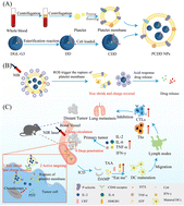 Graphical abstract: A ROS-responsive biomimetic nano-platform for enhanced chemo-photodynamic-immunotherapy efficacy