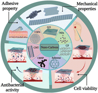 Graphical abstract: A comprehensive review on the applications of carbon-based nanostructures in wound healing: from antibacterial aspects to cell growth stimulation