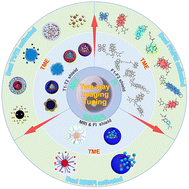 Graphical abstract: Shield-activated two-way imaging nanomaterials for enhanced cancer theranostics
