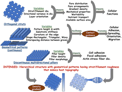 Graphical abstract: Effects of surface patterning and topography on the cellular functions of tissue engineered scaffolds with special reference to 3D bioprinting