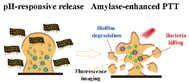 Graphical abstract: Amylase degradation enhanced NIR photothermal therapy and fluorescence imaging of bacterial biofilm infections