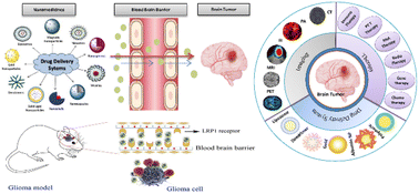Graphical abstract: Recent progress in nanomedicines for imaging and therapy of brain tumors
