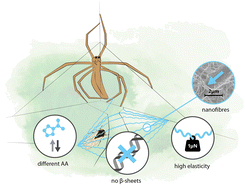 Graphical abstract: Physico-chemical properties of functionally adhesive spider silk nanofibres