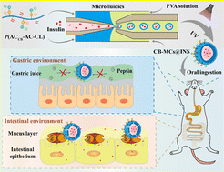 Graphical abstract: Crosslinked zwitterionic microcapsules to overcome gastrointestinal barriers for oral insulin delivery