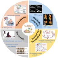 Graphical abstract: Catalytic nanotechnology of X-ray photodynamics for cancer treatments