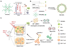 Graphical abstract: Hot-band absorption assisted single-photon frequency upconversion luminescent nanophotosensitizer for 808 nm light triggered photodynamic immunotherapy of cancer