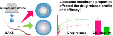 Graphical abstract: Controlling lamellarity and physicochemical properties of liposomes prepared using a microfluidic device