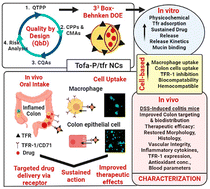 Graphical abstract: QbD-based fabrication of transferrin-anchored nanocarriers for targeted drug delivery to macrophages and colon cells for mucosal inflammation healing
