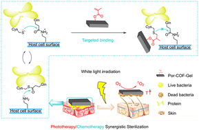 Graphical abstract: Acrylate-functionalized porphyrin-covalent organic framework for bacterial-targeted and reaction-enhanced synergistic phototherapy/chemotherapy toward sterilization and wound healing