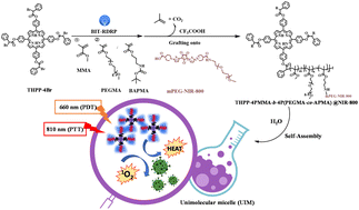 Graphical abstract: Unimolecular micelles from star-shaped block polymers by photocontrolled BIT-RDRP for PTT/PDT synergistic therapy