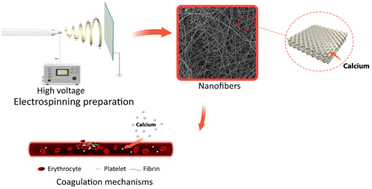Graphical abstract: Gelatin/calcium chloride electrospun nanofibers for rapid hemostasis