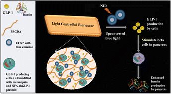 Graphical abstract: Tether-free optogenetic control of insulin secretion using an upconversion nanoparticle-doped hydrogel platform