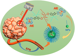 Graphical abstract: D–A–D organic small molecules with AIE effect for fluorescence imaging guided photothermal therapy