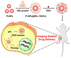 Graphical abstract: Persistent luminescent metal–organic framework nanocomposite enables autofluorescence-free dual modal imaging-guided drug delivery