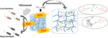 Graphical abstract: Ultrasonic interfacial crosslinking of TiO2-based nanocomposite hydrogels through thiol–norbornene reactions for sonodynamic antibacterial treatment