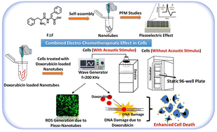 Graphical abstract: Bio-piezoelectric phenylalanine-αβ-dehydrophenylalanine nanotubes as potential modalities for combinatorial electrochemotherapy in glioma cells