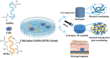 Graphical abstract: Tunable metacrylated silk fibroin-based hybrid bioinks for the bioprinting of tissue engineering scaffolds