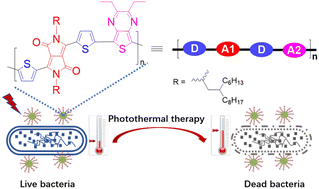 Graphical abstract: A novel donor–acceptor structured diketopyrrolopyrrole-based conjugated polymer synthesized by direct arylation polycondensation (DArP) for highly efficient antimicrobial photothermal therapy