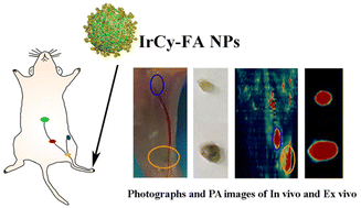 Graphical abstract: The location of metastatic lymph nodes and the evaluation of lymphadenectomy by near-infrared photoacoustic imaging with iridium complex nanoparticles