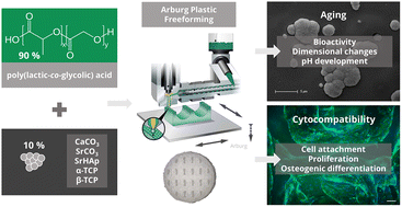 Graphical abstract: A comparative analysis of 3D printed scaffolds consisting of poly(lactic-co-glycolic) acid and different bioactive mineral fillers: aspects of degradation and cytocompatibility